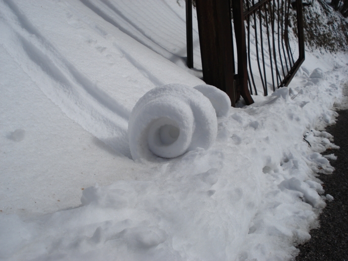 Chiocciola delle nevi