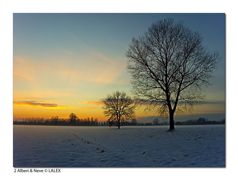 2 Alberi & Neve