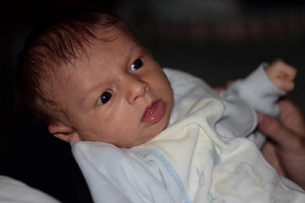 Cucciolo