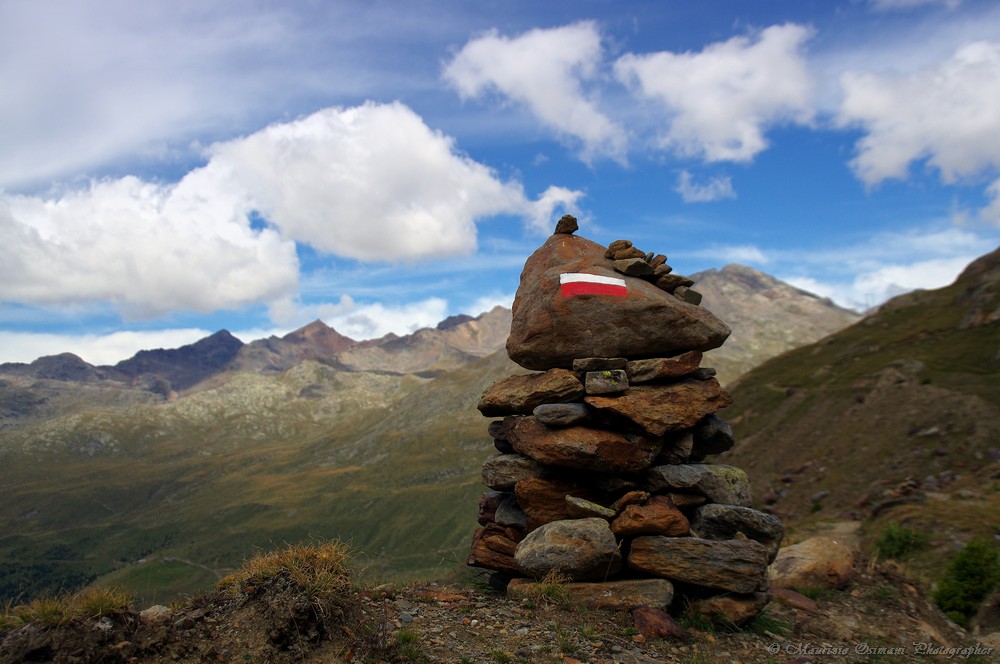 Il Ghiacciaio dei Forni