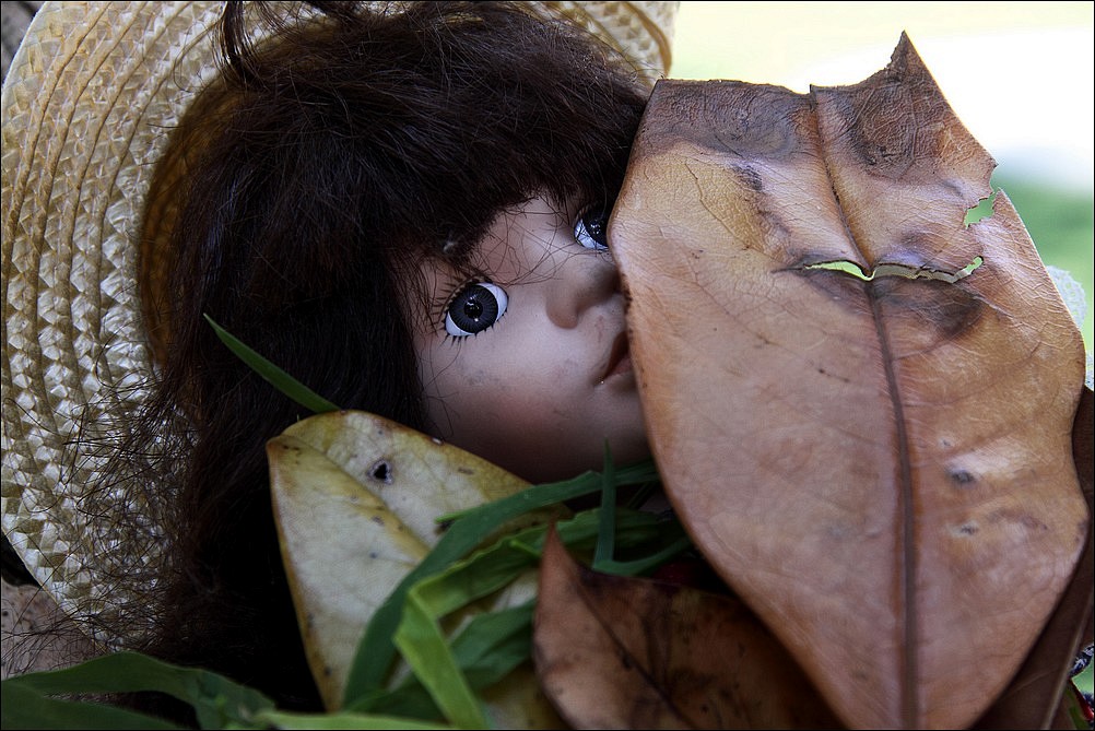 Presenze nel sottobosco