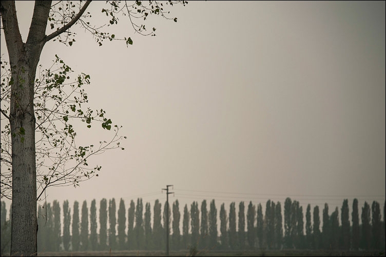 Da questa parte...di una met�...