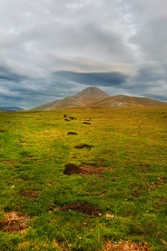 CAMPO iMPERATORE