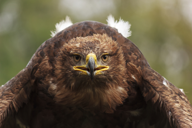 Oasi di Sant'Alessio