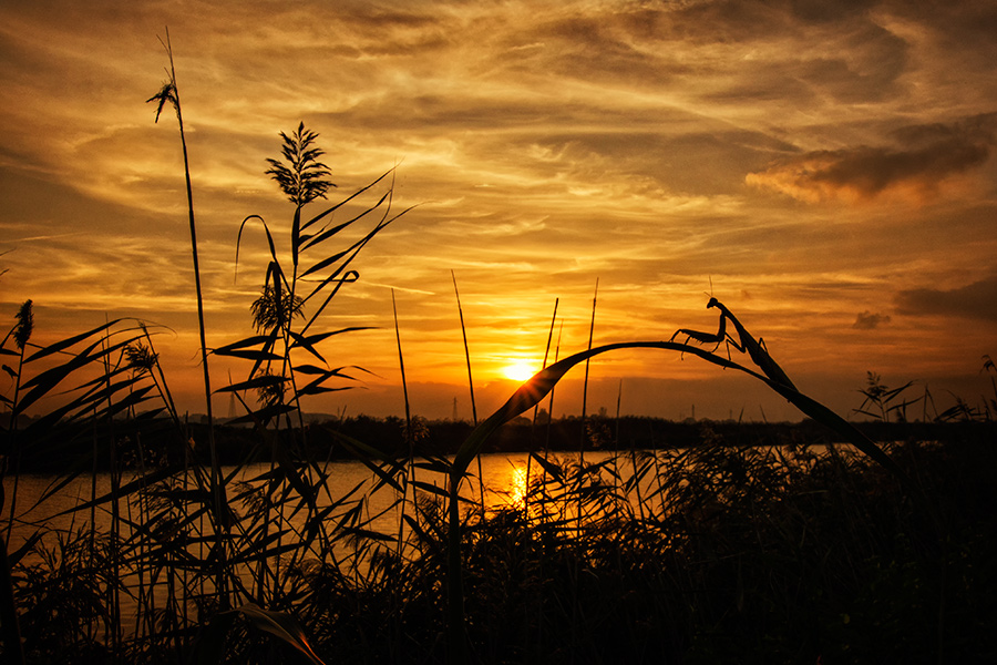 Ammirando il tramonto