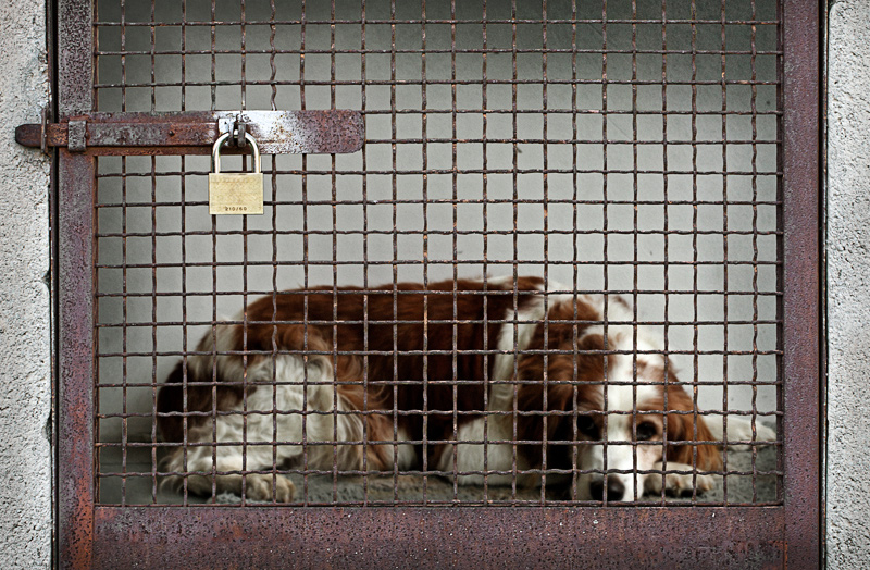 Non � sempre amore