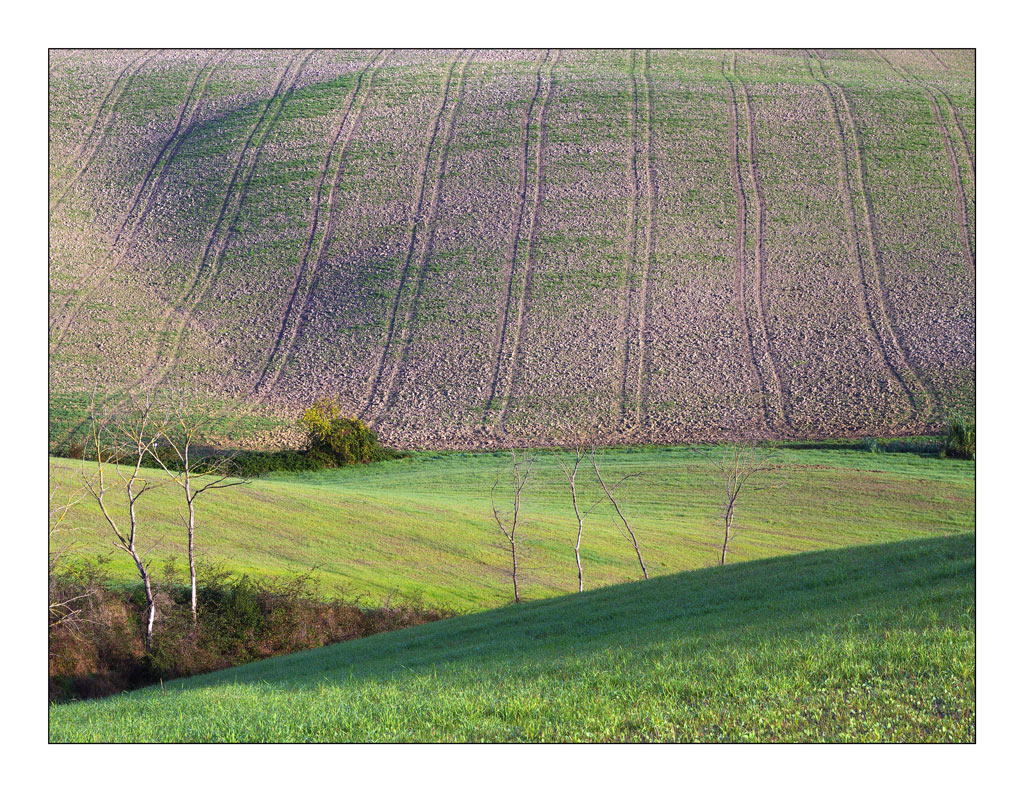 Valle del silenzio (Lajatico)