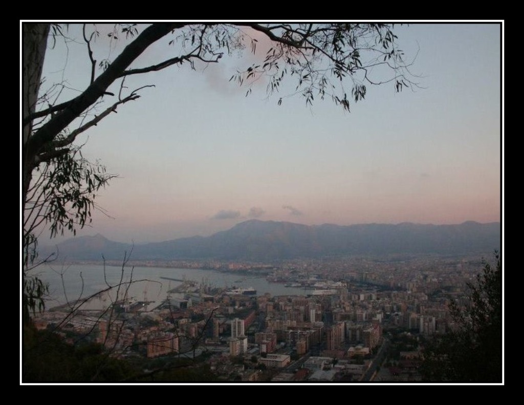 Veduta di Palermo da Montepellegrino