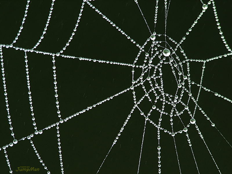 Ragnatela + ''startrail''