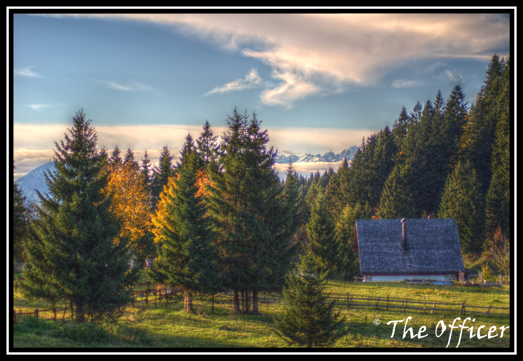 La casetta nel boschetto