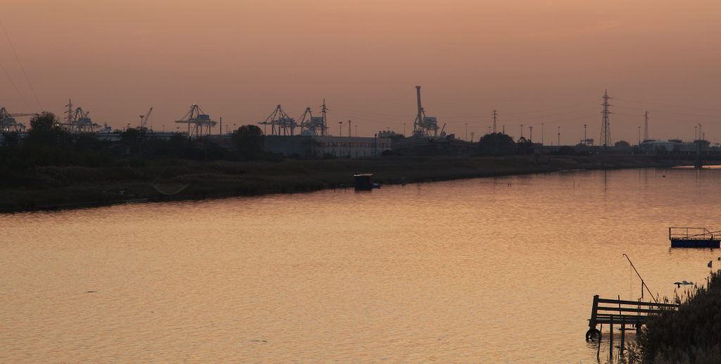 Dinosauri nel crepuscolo