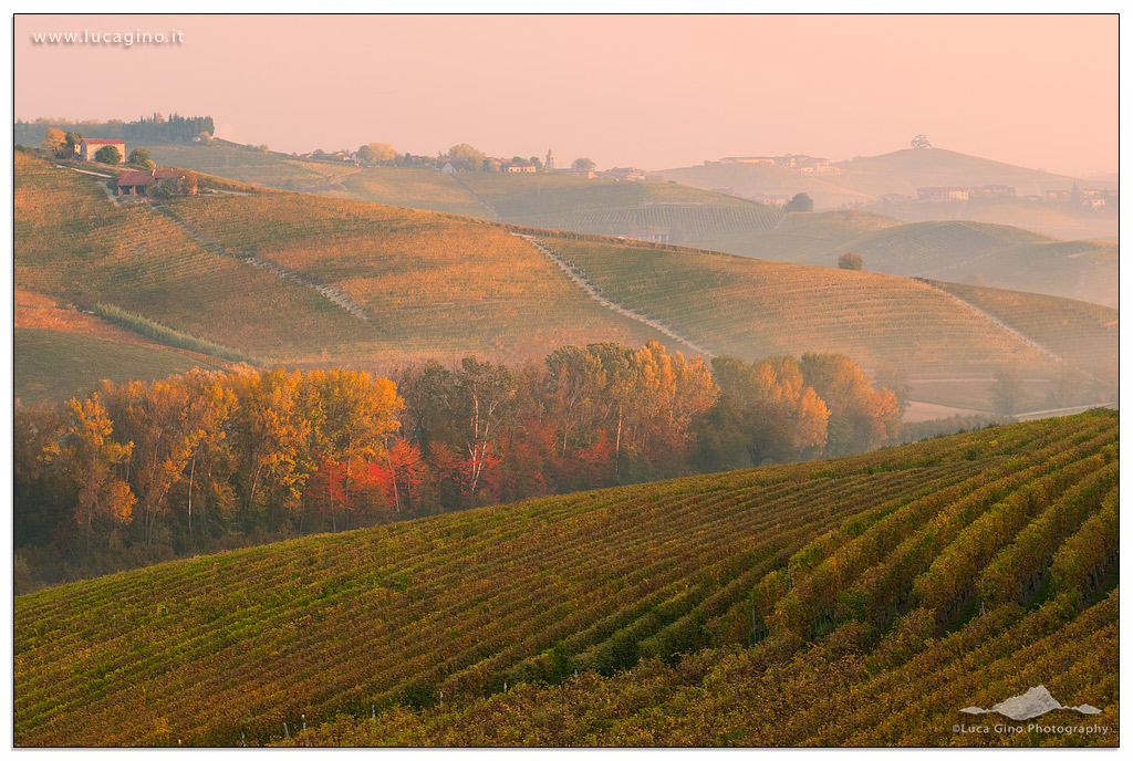 TERRE DEL BAROLO