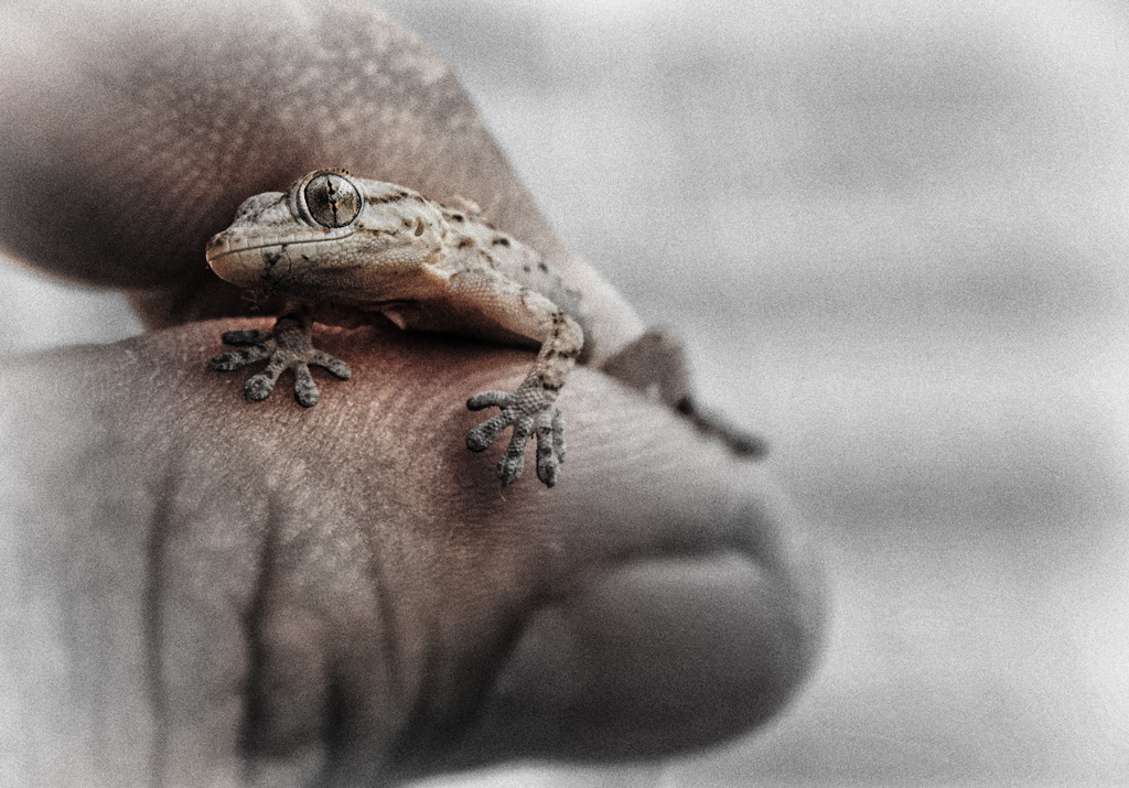 Un punto di vista.. differente...