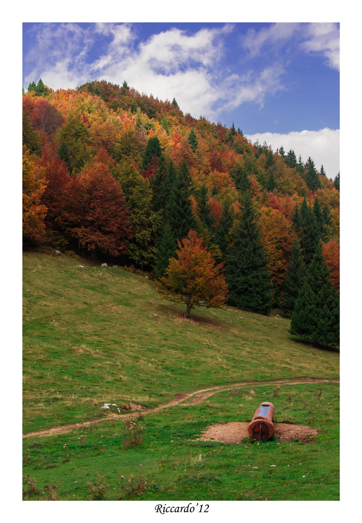 Magri pascoli parte II