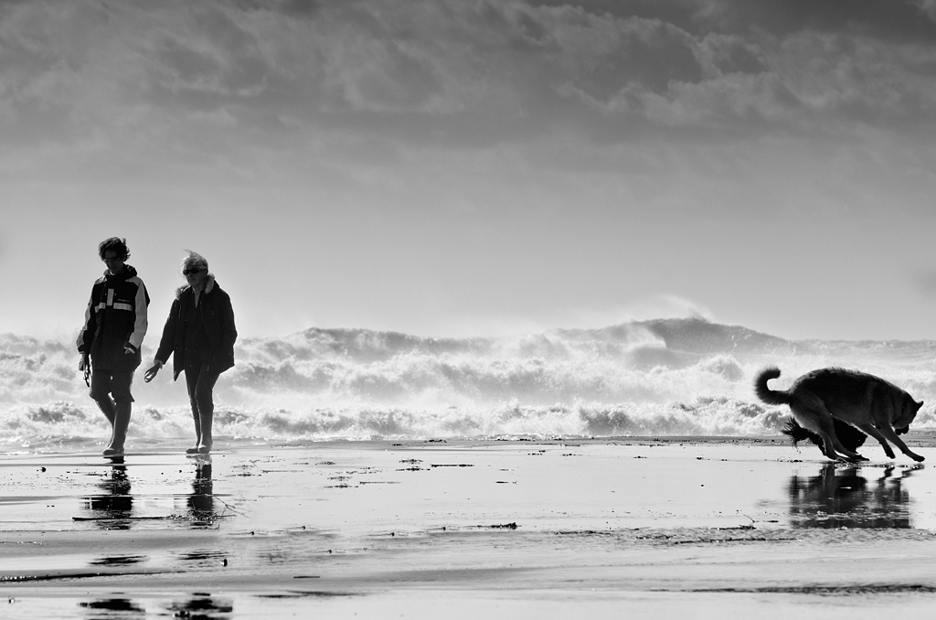 Le parole che non ti ho detto..