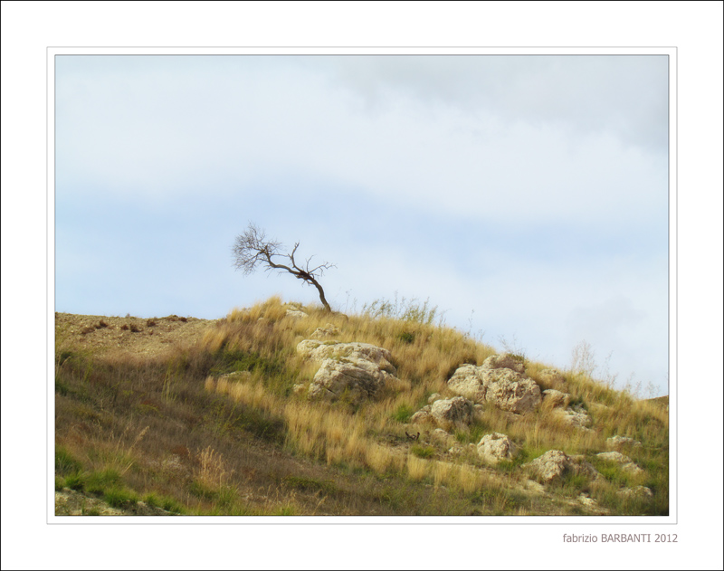 la natura resiste...