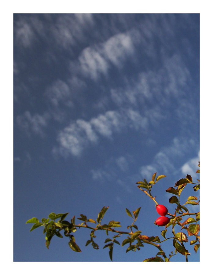 Img 7518 - fresca mattina d'autunno