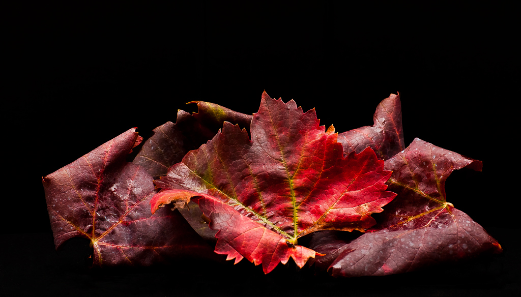 I colori dell'autunno 2