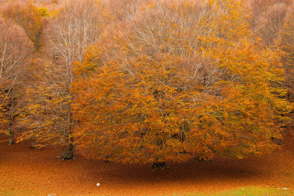 Autunno e i suoi colori