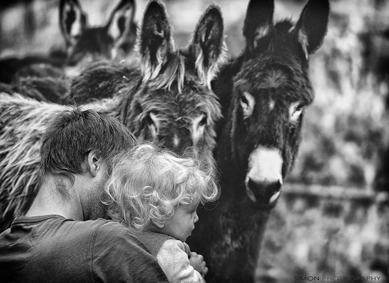 Non aver paura...ne � pieno il mondo!