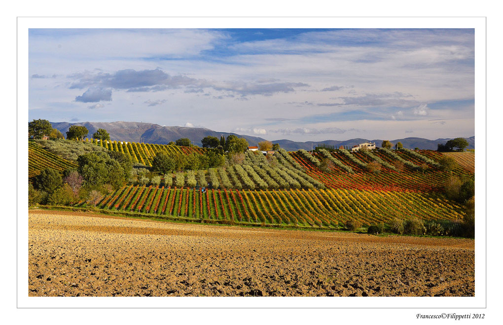 Montefalco (paesaggio)