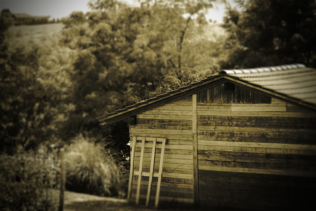 Somewhere... in Cuccaro Monferrato (AL)