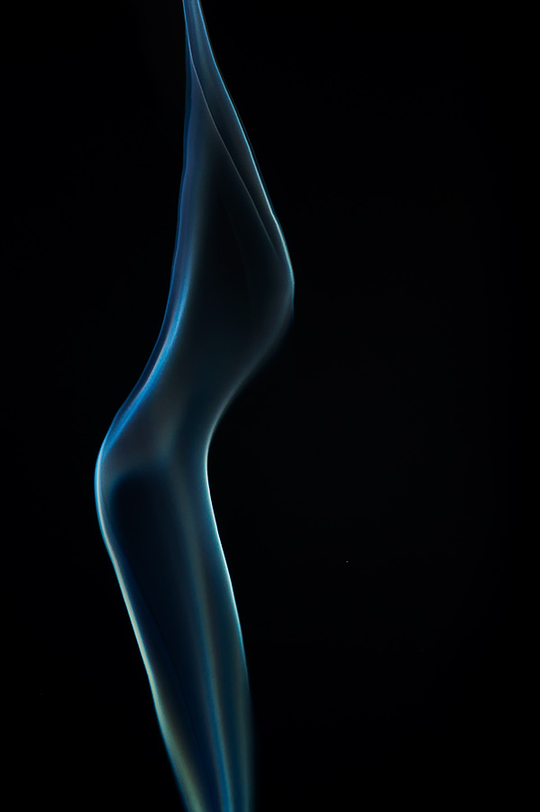 Elucubrazione - curve