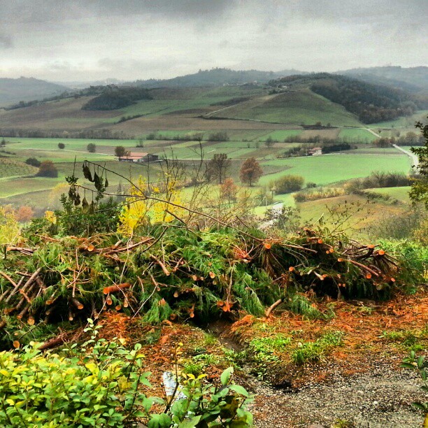 Rainy day in Cuccaro Monferrato...