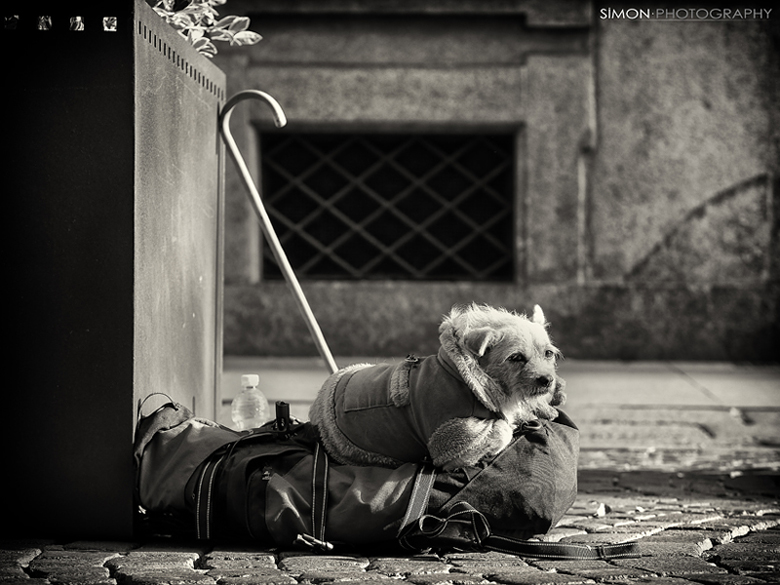 Tanto torna...vero!?