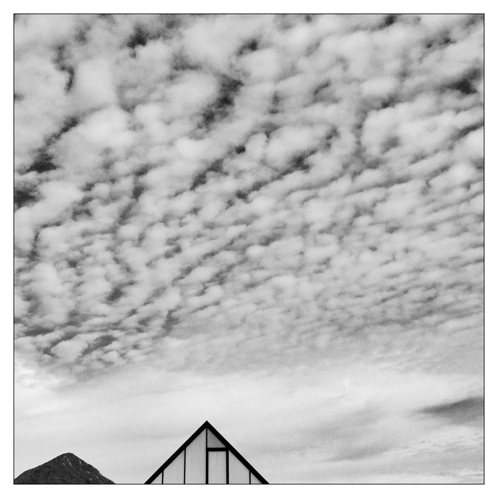 analogico e digitale