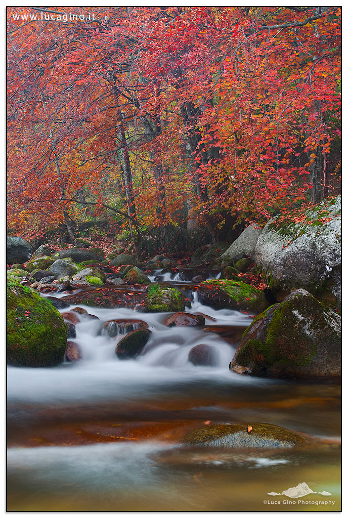 AUTUNNO IN VALLE PESIO II