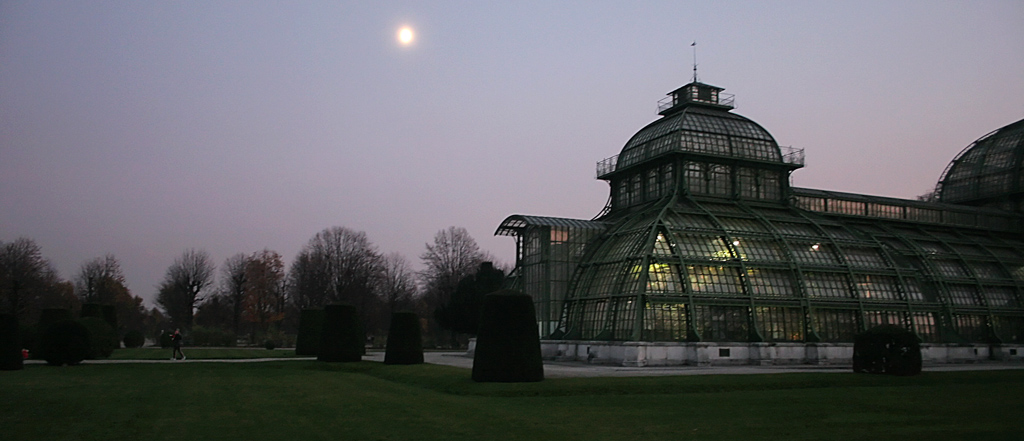 Tiergarten - Orto botanico