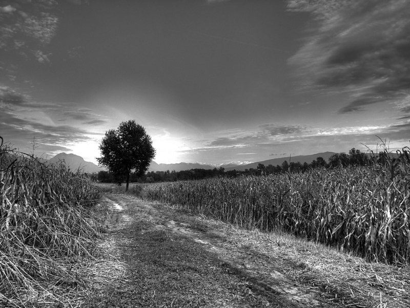 HDR BW