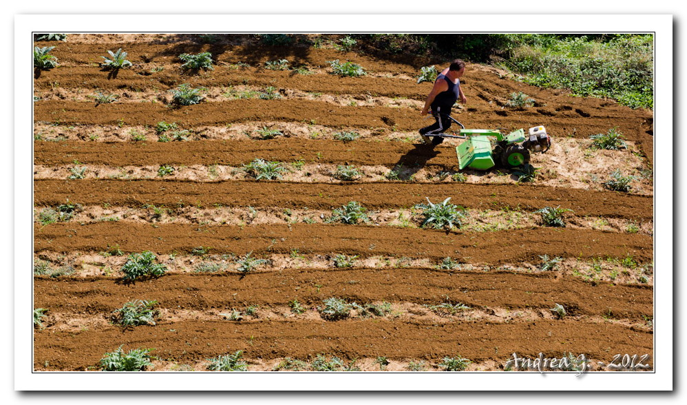 Bisogna rigar dritto!