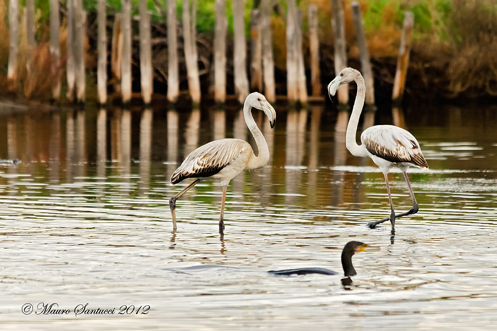 Lui lei e...l'intruso