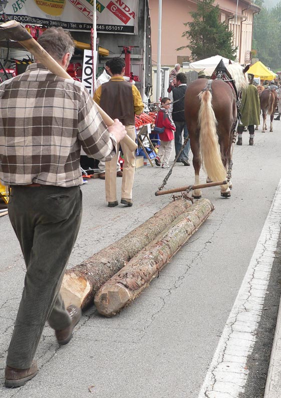 Il ritorno dal Bosco2...