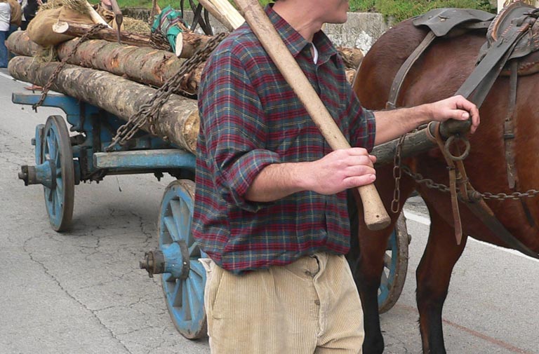 Il ritorno dal Bosco3....