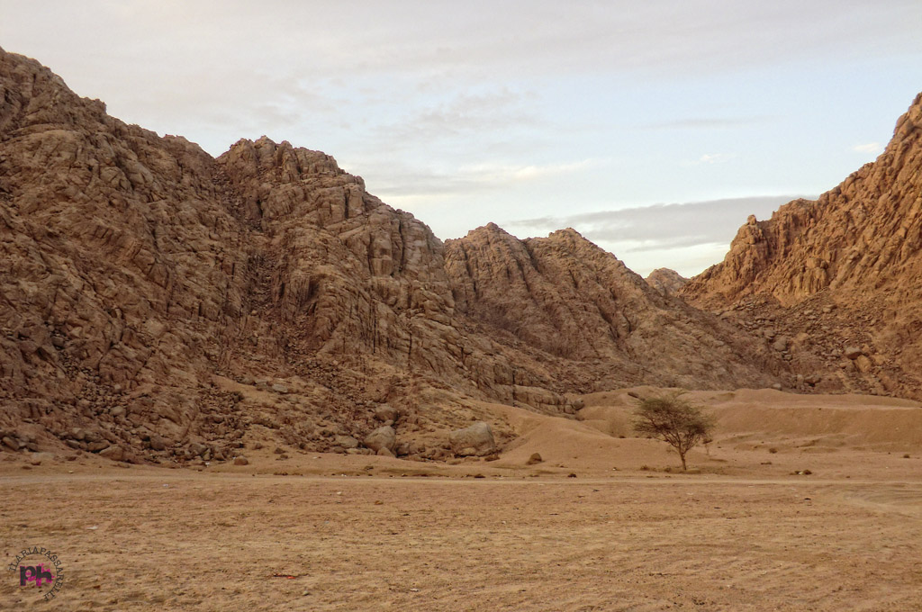 Deserto del Sinai.Novembre 2012