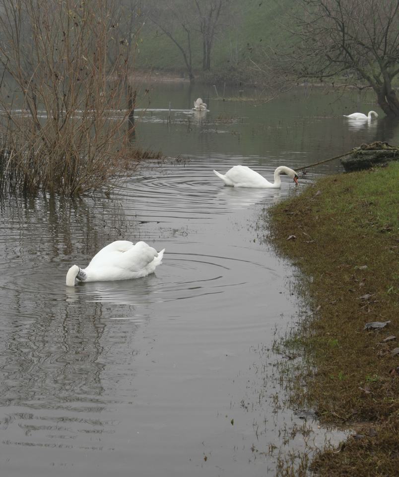 Ragazzi....gi� la testa!!!