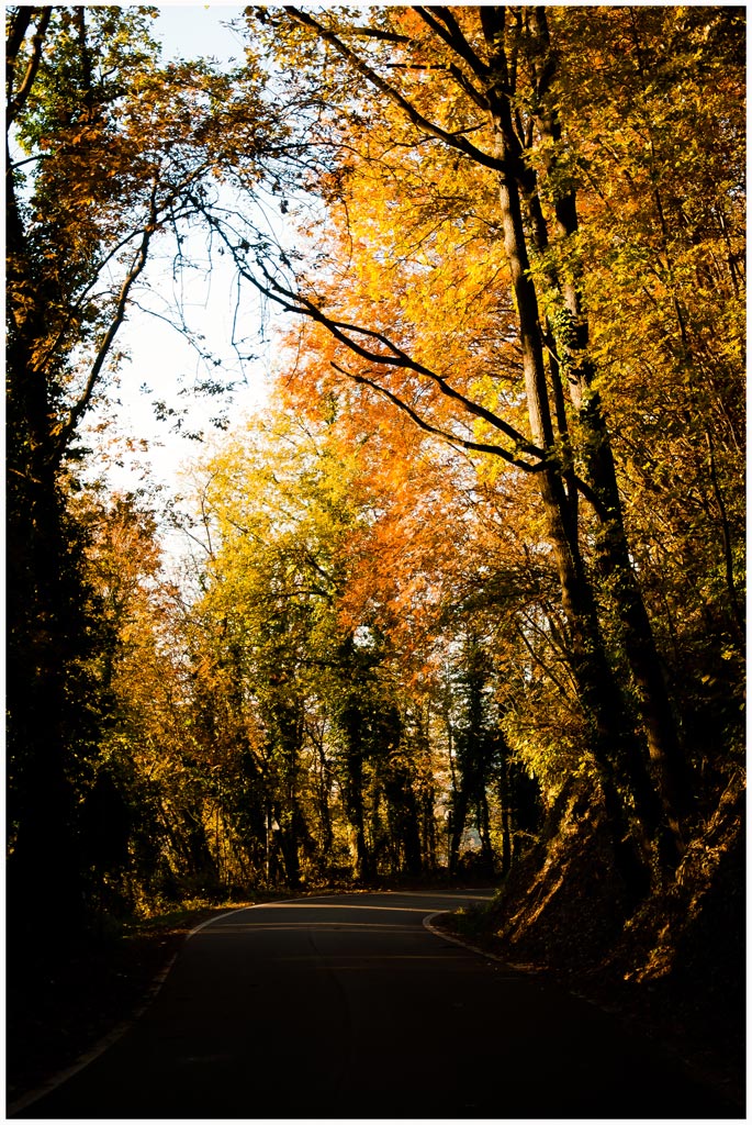 Meraviglia Autunnale