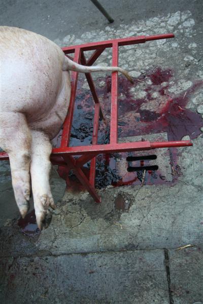 Senza titolo (Se siete impressionabili non guardate)