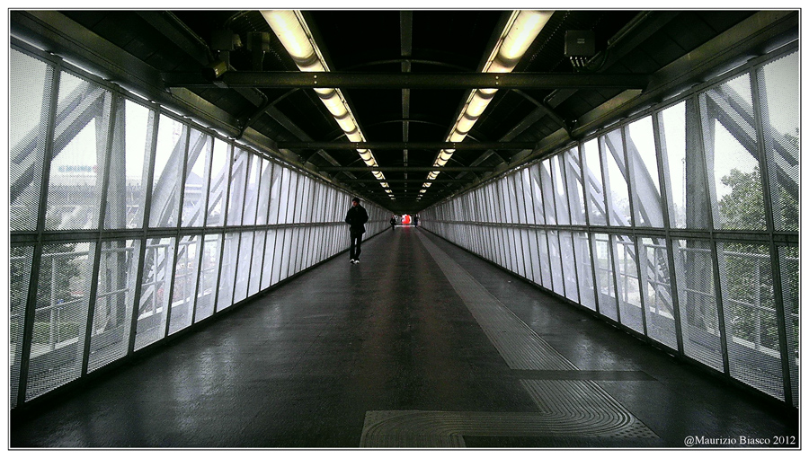 Morning hypnotic (@ZioMauri29)