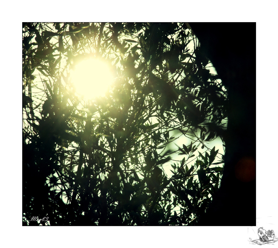 Una passeggiata al Ciolo..