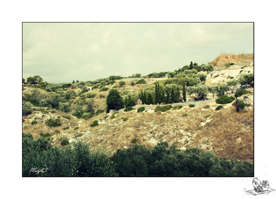 Una passeggiata al Ciolo..