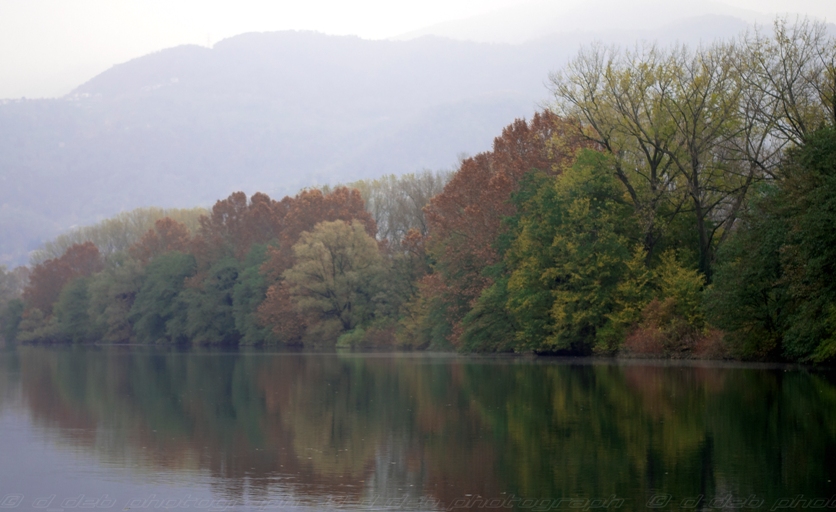 Foschie sul fiume