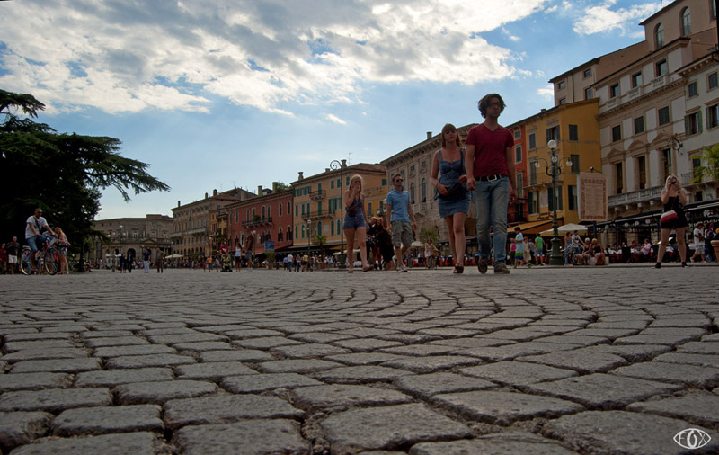 le formiche come ci vedono e, a colori o b/n?
