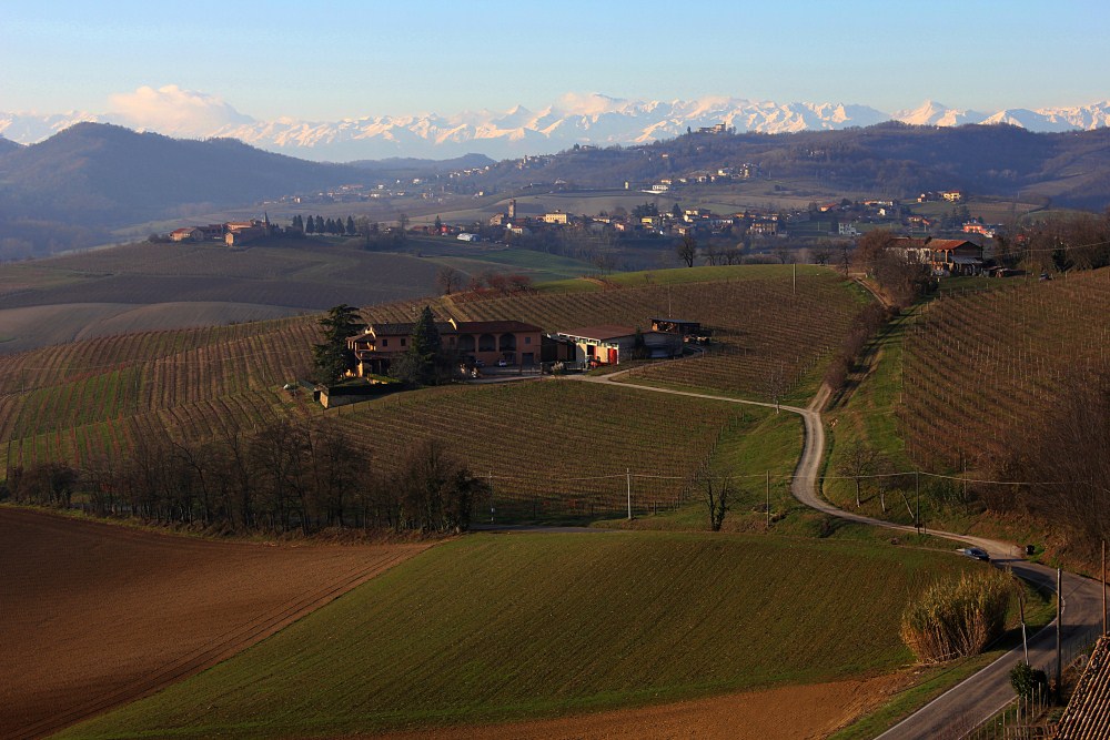 winter in monferrato