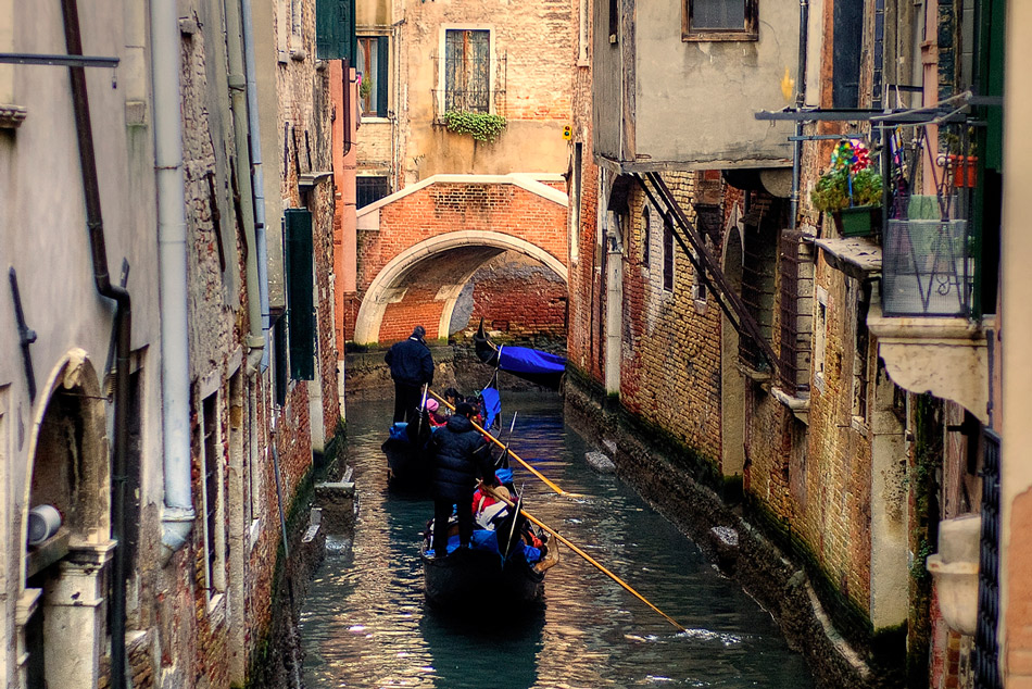 Venezia, acqua bassa