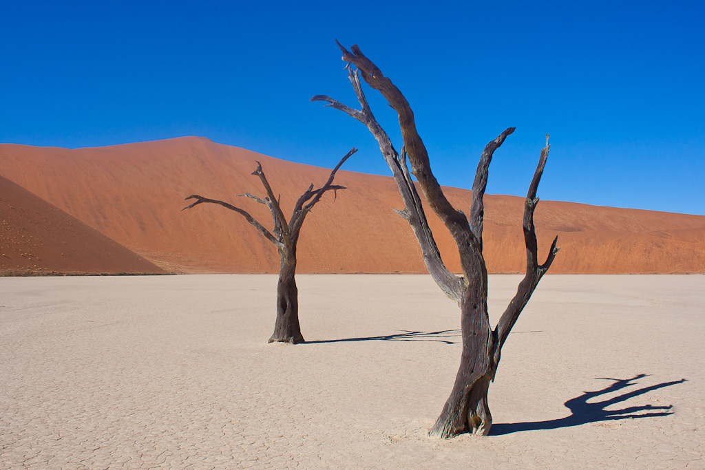 dead vlei