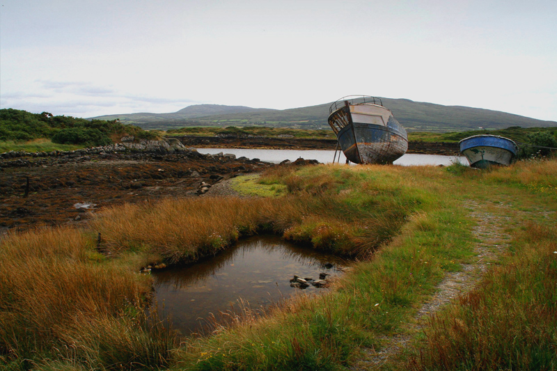 Compagne di sventura